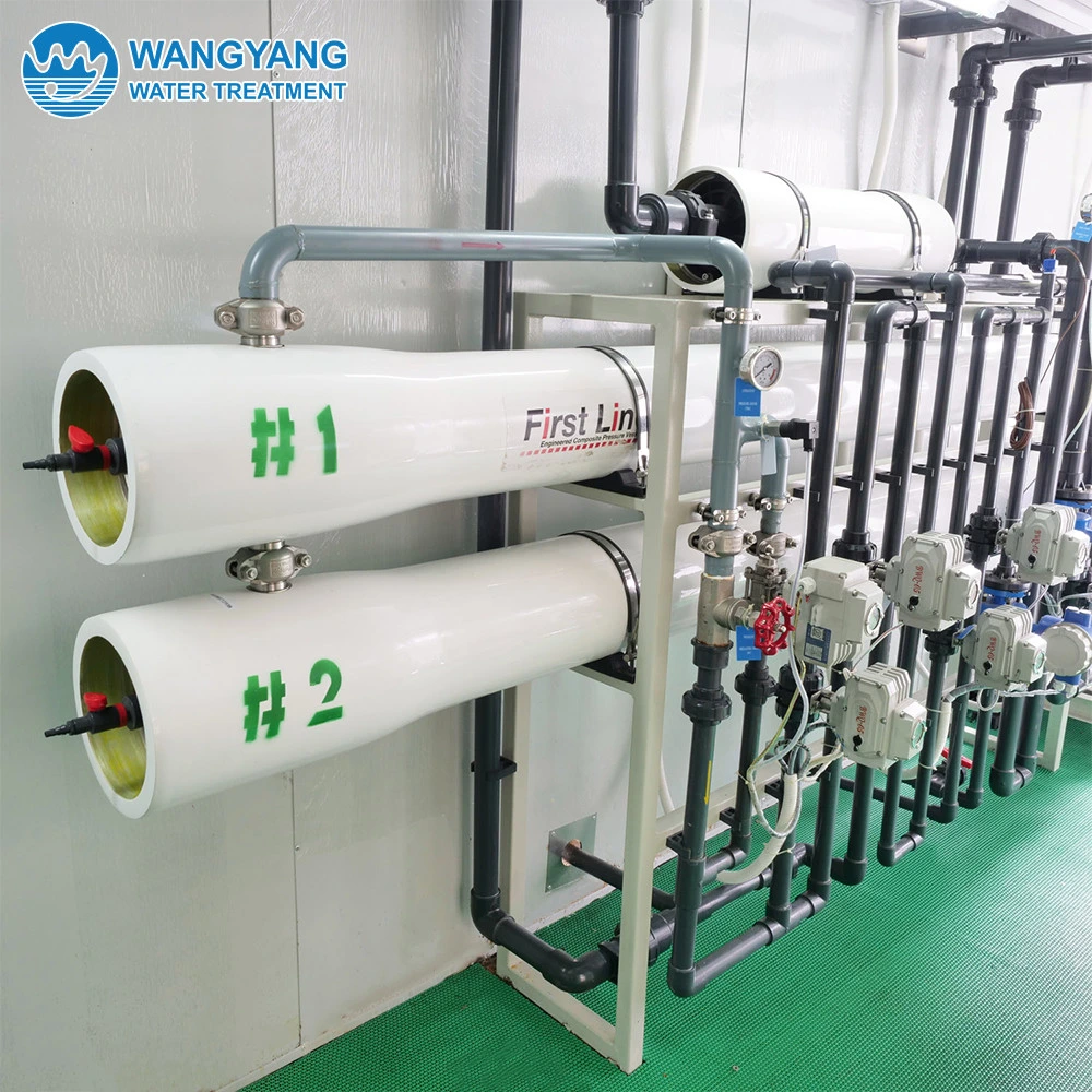 3000lph Hot Sell Drinking Desalination Water Treatment Device