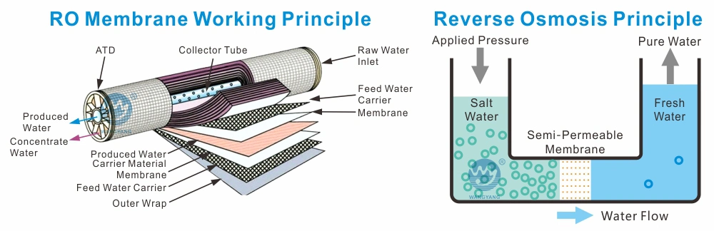 3000lph Hot Sell Drinking Desalination Water Treatment Device