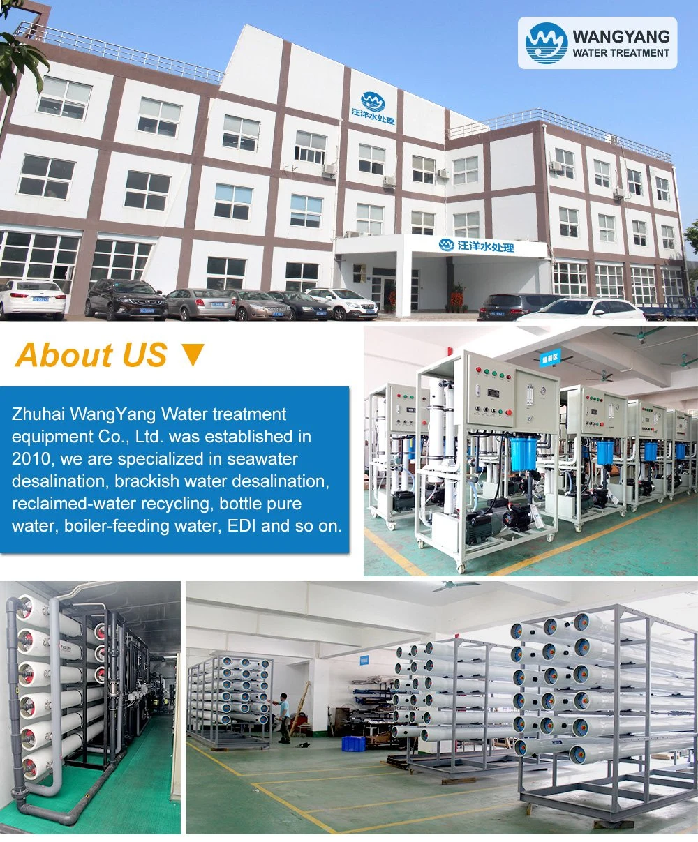 3000lph Hot Sell Drinking Desalination Water Treatment Device