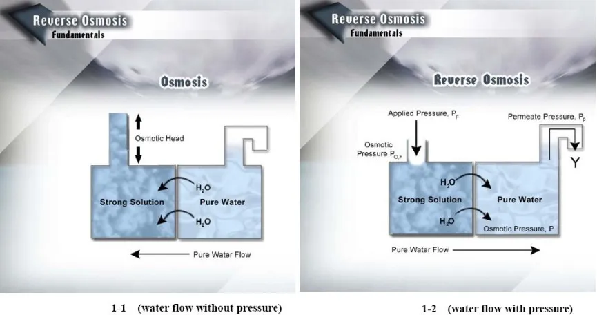 1000lph Commercial Reverse Osmosis Water Purifier