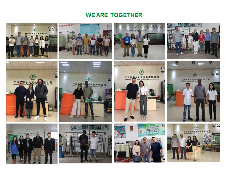 15tph Auto Stainless Steel RO Water Treatment Machinery, Industrial Water Treatment, Water Filter Manufacturer