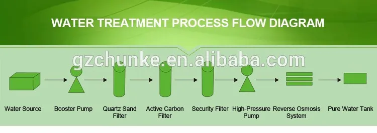 15tph Automatic Ss RO Water Treatment Plant Machine Price