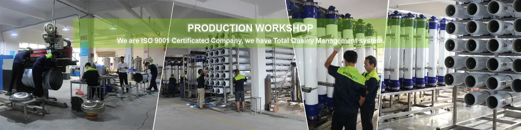 15tph Automatic Ss RO Water Treatment Plant Machine Price