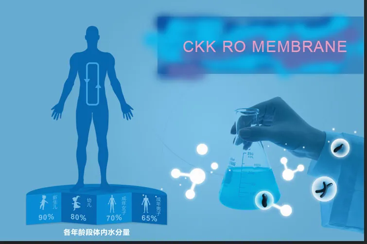 1812 Reverse Osmosis System Membrane