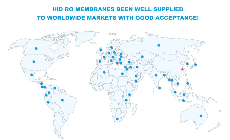250lph Water Purification Machines Price with RO Membrane