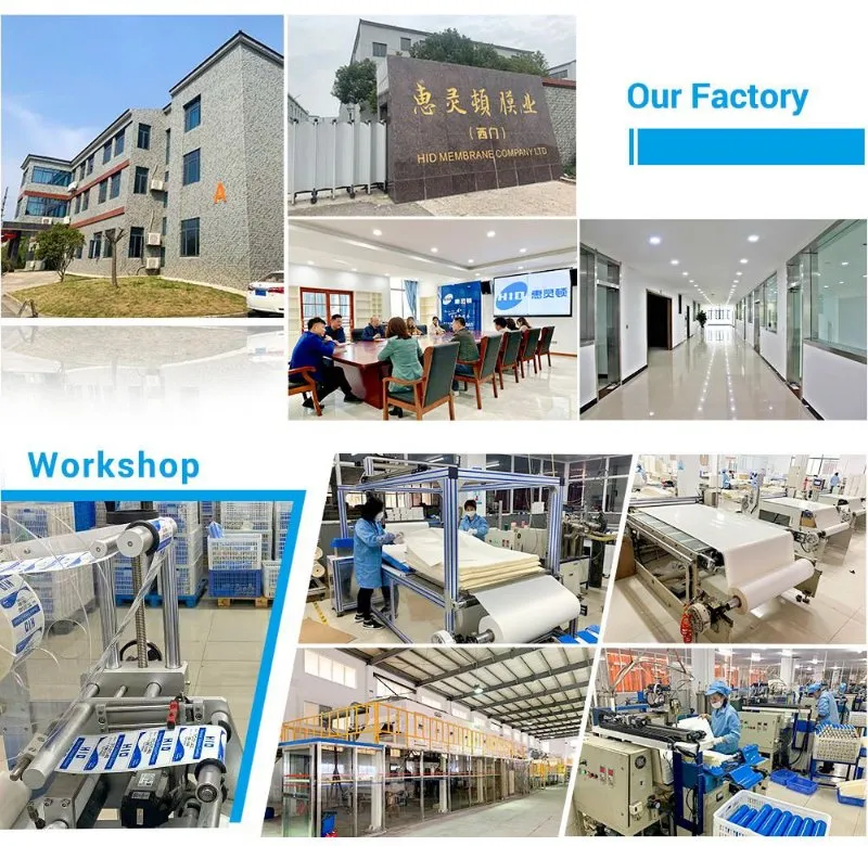 250lph Water Purification Machines Price with RO Membrane