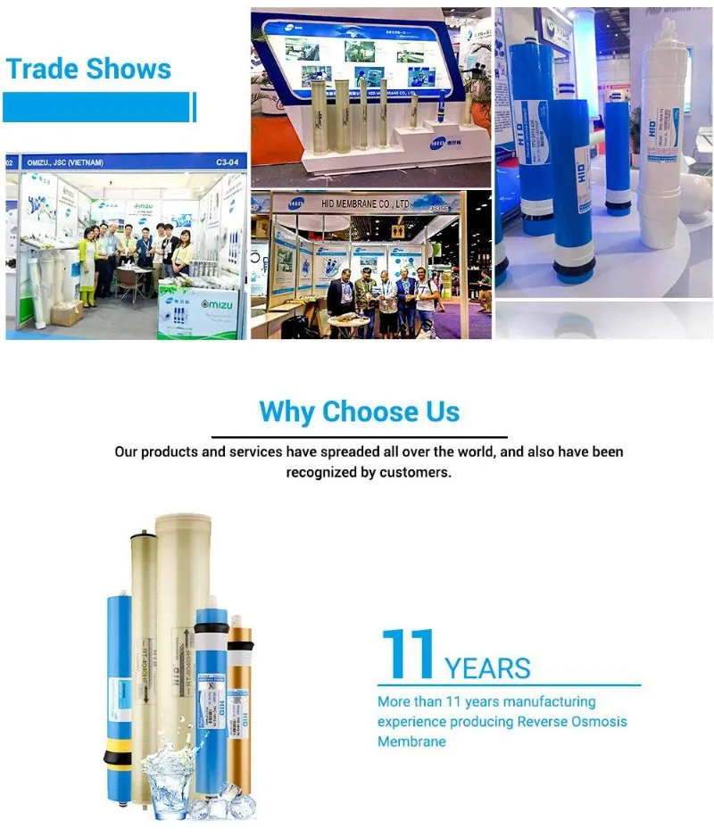 250lph Water Purification Machines Price with RO Membrane