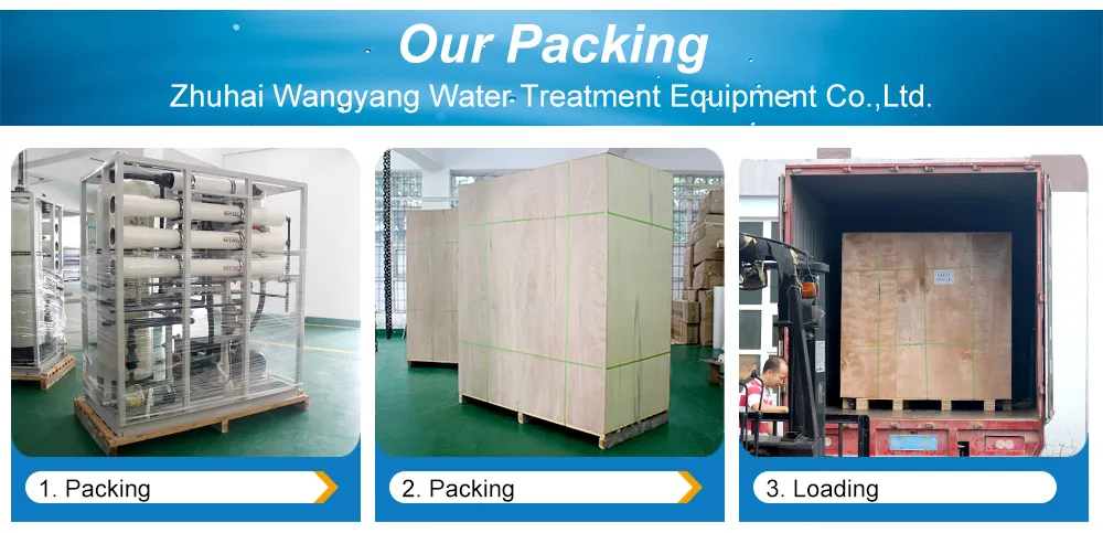 30tpd 2-Stage Membrane Reverse Osmosis Seawater Desalination Water Treatment System for Ship