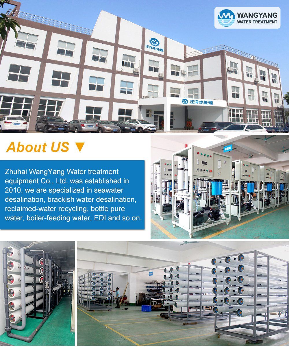 30tpd Reverse Osmosis Seawater Desalination Water Treatment Plant for Drinking