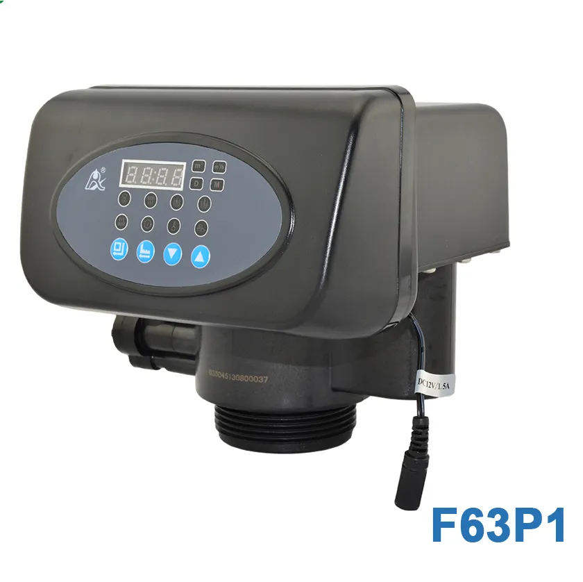 Automatic Control Valve Runxin Water Softener Valve for Water Treatment System