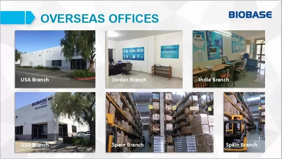 Automatic Water Purifier for RO/Di Water Type 10L/H