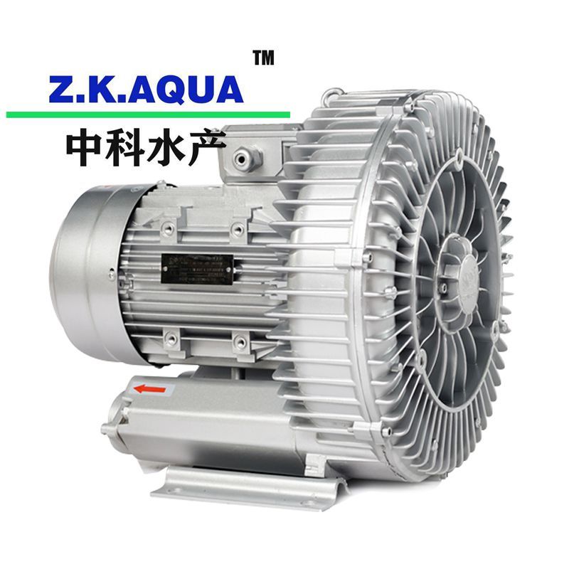 Blowers and Ring Blowers Manufacturer High Pressure Air Ring Blower with Ras System