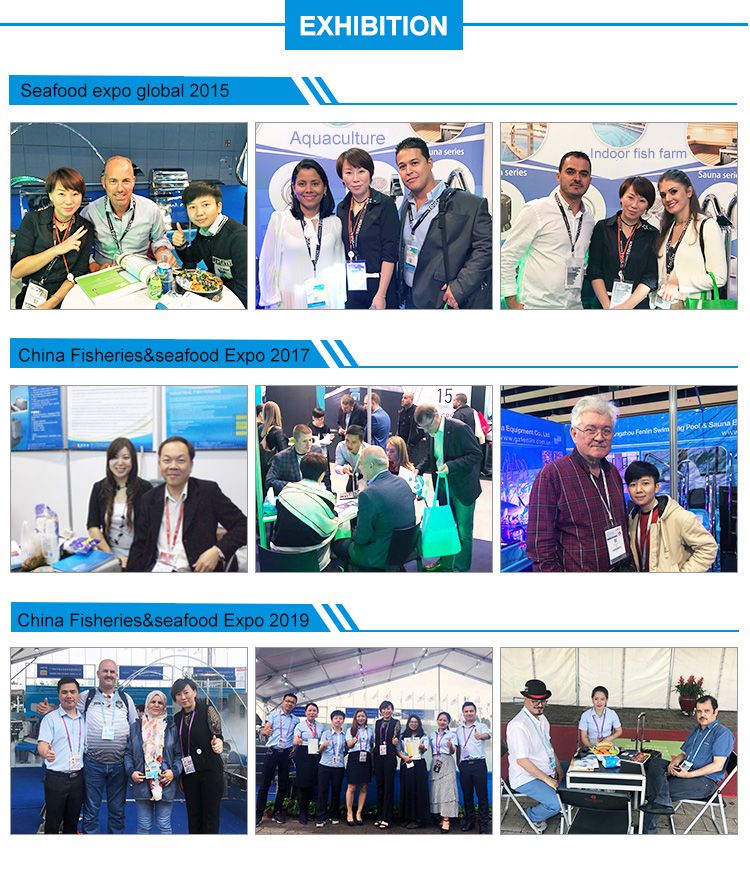 Blowers and Ring Blowers Manufacturer High Pressure Air Ring Blower with Ras System