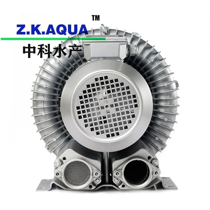 Blowers and Ring Blowers Manufacturer High Pressure Air Ring Blower with Ras System