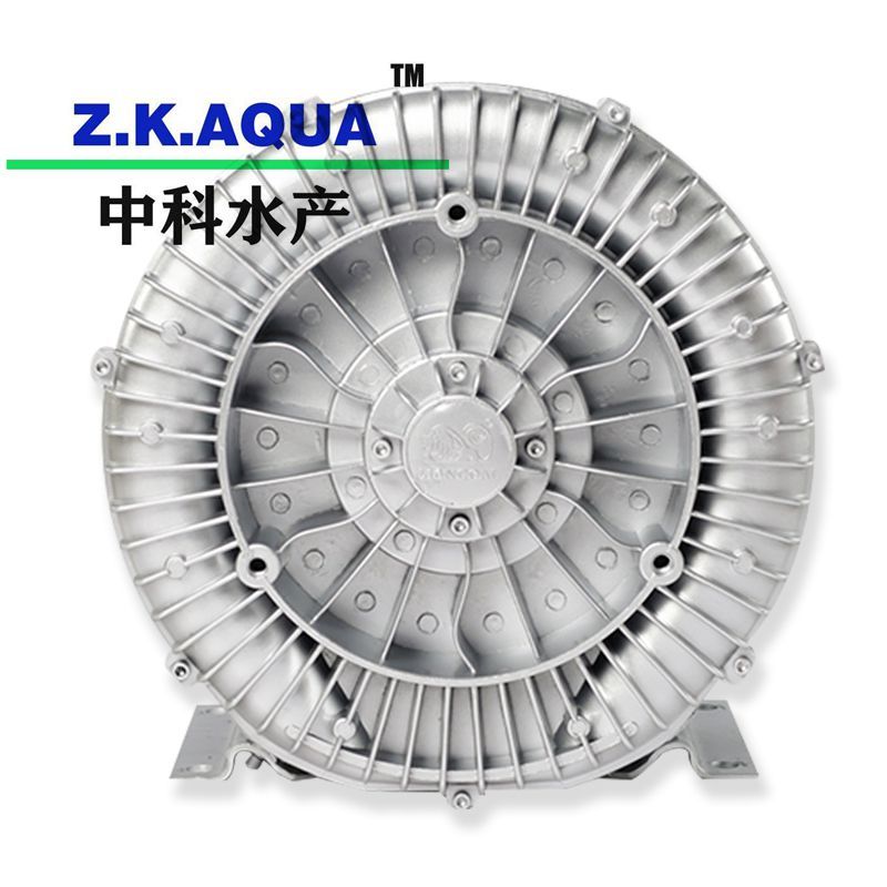 Blowers and Ring Blowers Manufacturer High Pressure Air Ring Blower with Ras System