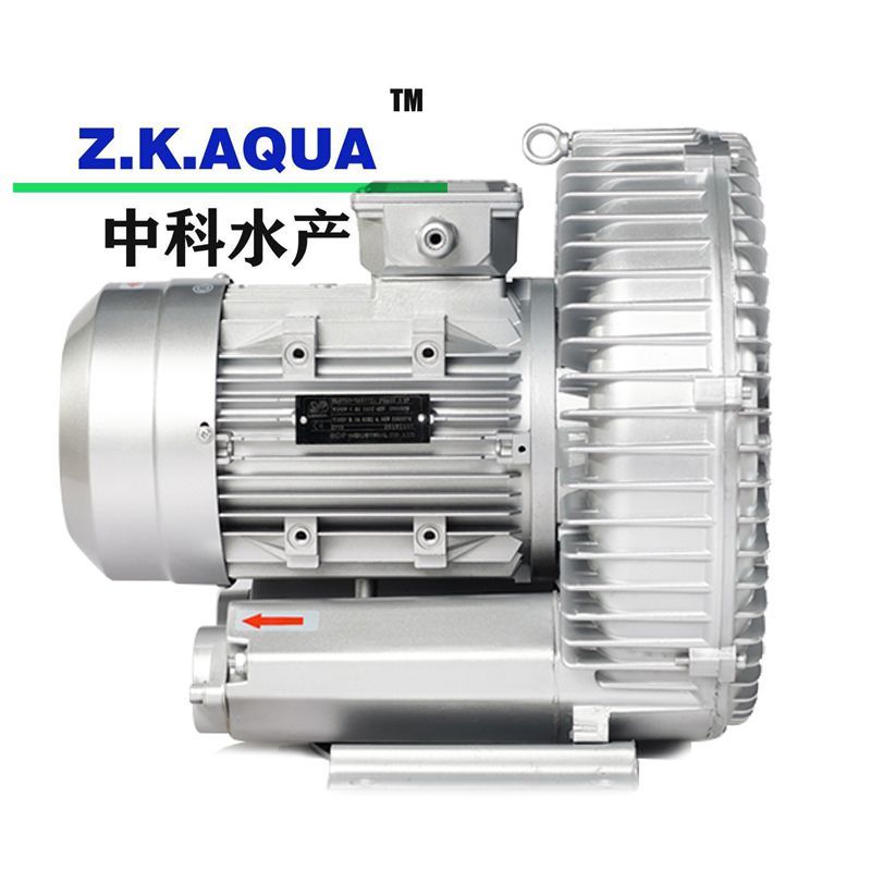 Blowers and Ring Blowers Manufacturer High Pressure Air Ring Blower with Ras System
