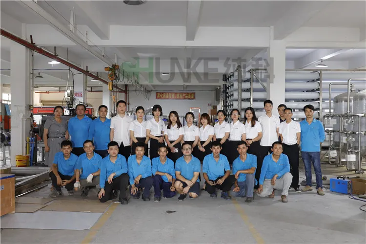 Chunke 15t/H Water Treatment RO Plant Good Price