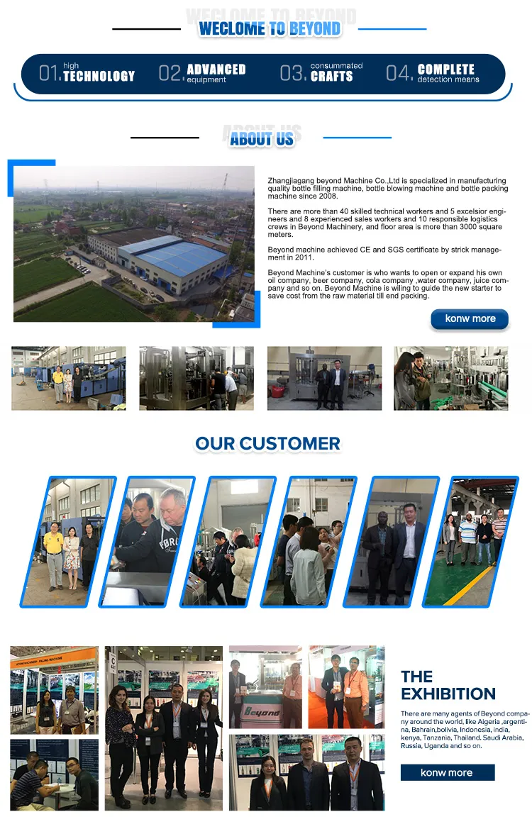 High Desalt Rate Pure Water Purification Treatment System