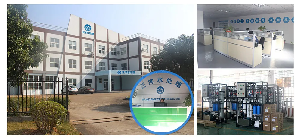 Reverse Osmosis Seawater Purification Machine 500 Gpd Water Desalinator