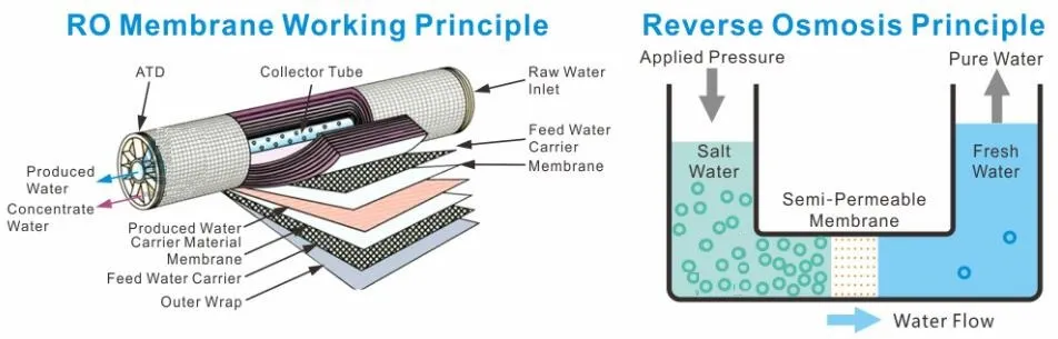 RO System + EDI System Water Treatment Equipment Ultrapure Water for Electronic and Medicine Industry