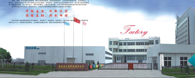 RO Water Purification System with 1000lph EDI System