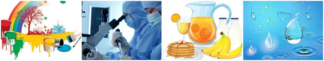 Single Cartridge Filter Housing /222 226 Cartridge Stainless Steel 10 Inch Water Filter Housing