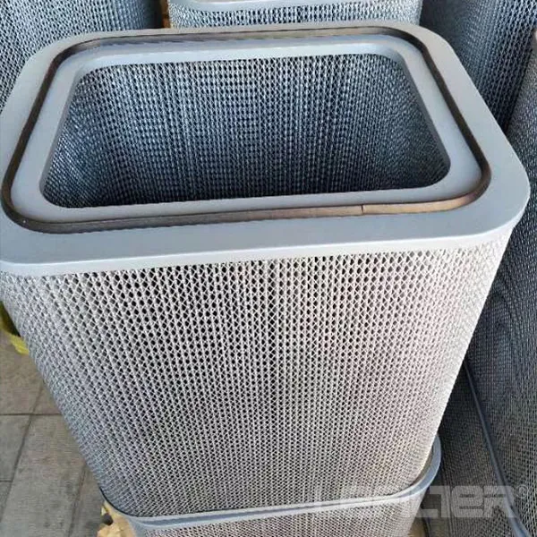 Wso 15 Cartridge Main Filter (1A15399000) - P786780-016-190